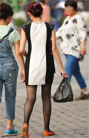 宋先生的情书免费阅读