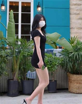 真正免费的小说阅读器