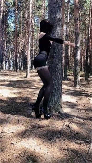 永恒圣帝顶点小说
