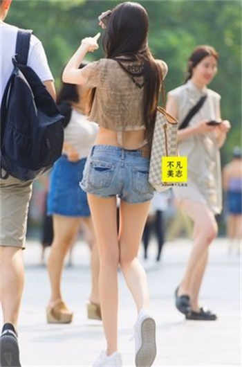优美的句子摘抄