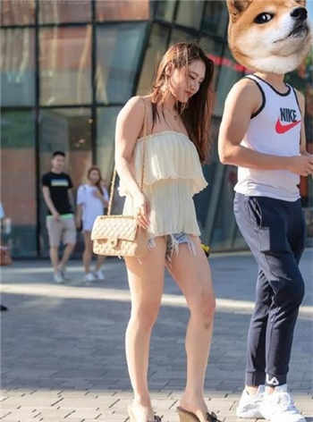 向日葵兑换码怎么领取